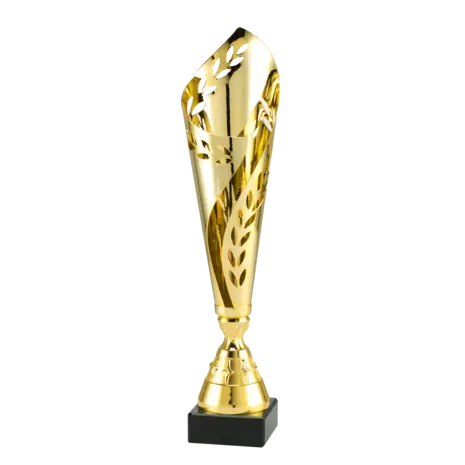 Sportprijzen Leiden Trofee MT.125