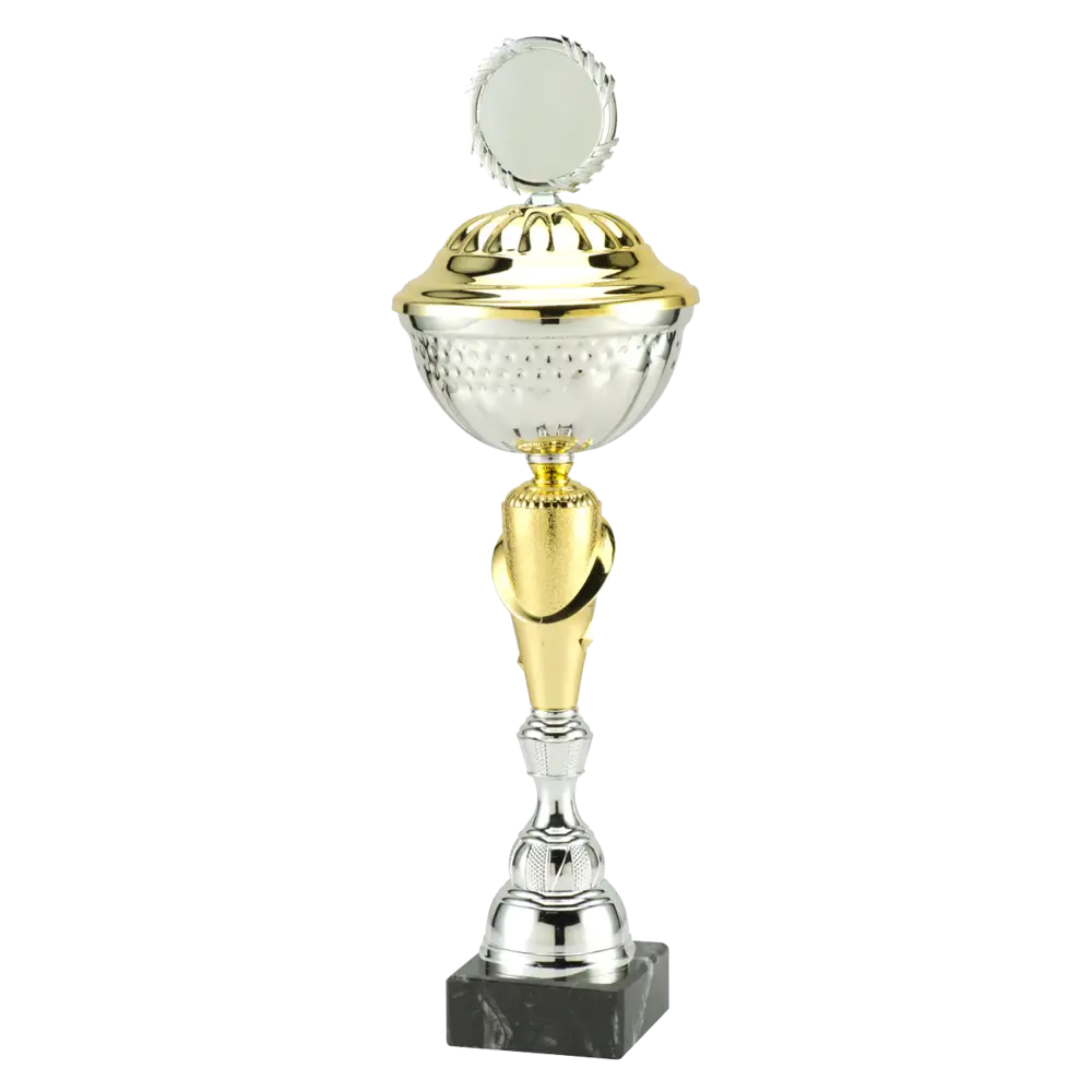 Sportprijzen Leiden Trofee MT.132