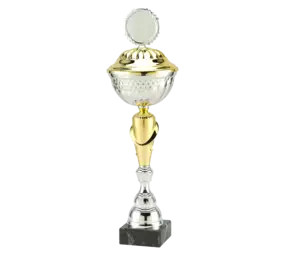 Sportprijzen Leiden Trofee MT.132