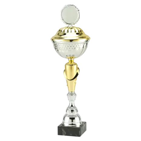 Sportprijzen Leiden Trofee MT.132