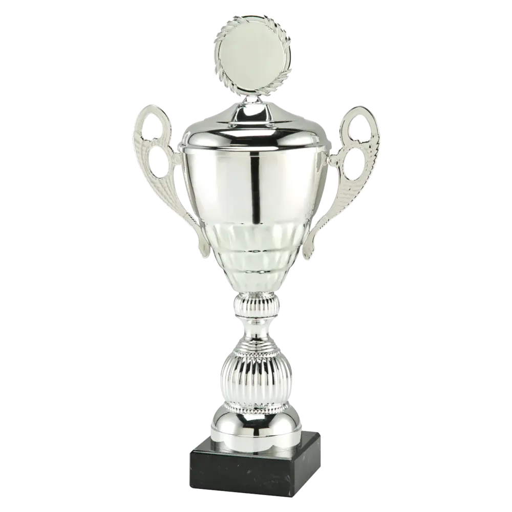 Sportprijzen Leiden Trofee MT.140