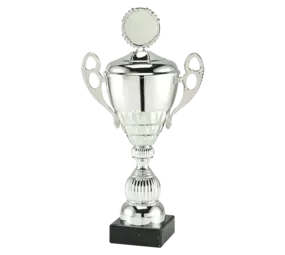 Sportprijzen Leiden Trofee MT.140