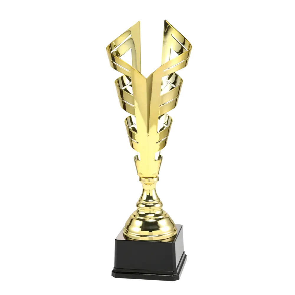 Sportprijzen Leiden Trofee LT.076