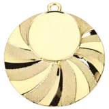 Sportprijzen Leiden Medaille D84 Sportprijzen Leiden Medaille D84