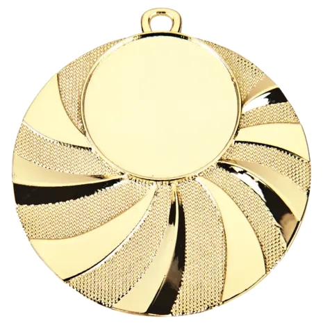 Sportprijzen Leiden Medaille D84