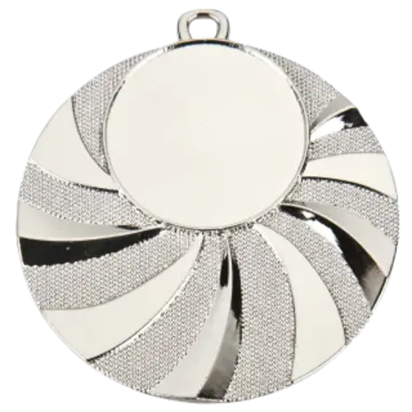 Sportprijzen Leiden Medaille D84