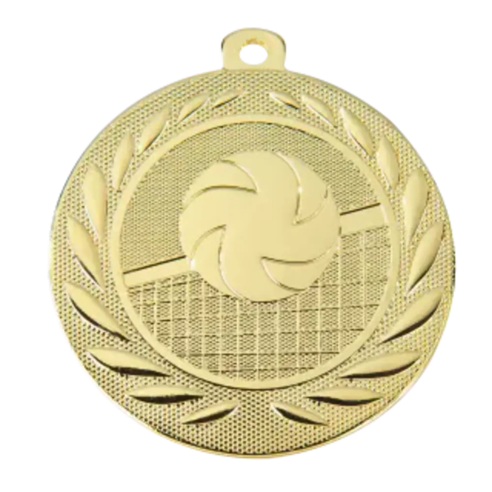 Sportprijzen Leiden Medaille Volleybal