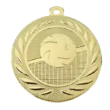 Sportprijzen Leiden Medaille Volleybal
