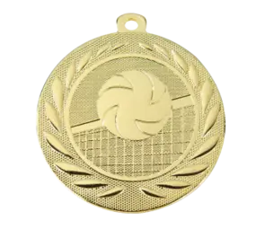 Sportprijzen Leiden Medaille Volleybal