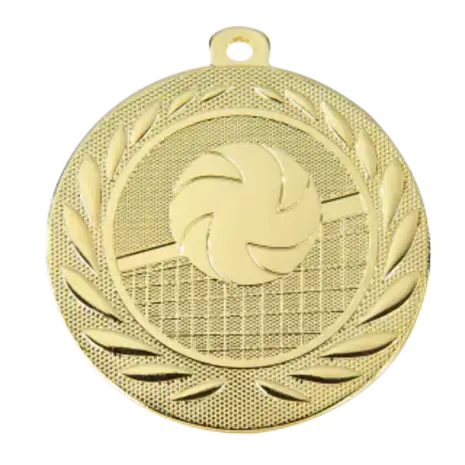Sportprijzen Leiden Medaille Volleybal