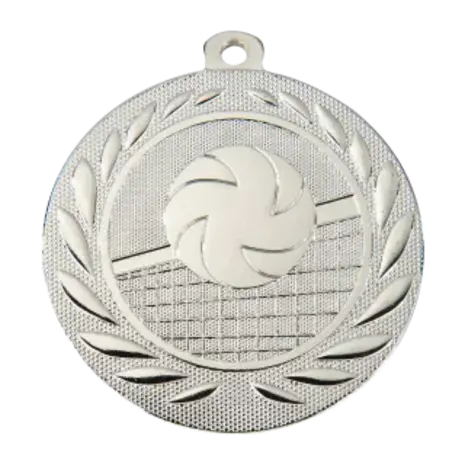 Sportprijzen Leiden Medaille Volleybal
