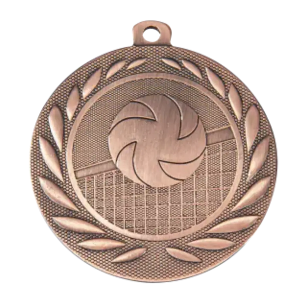 Sportprijzen Leiden Medaille Volleybal
