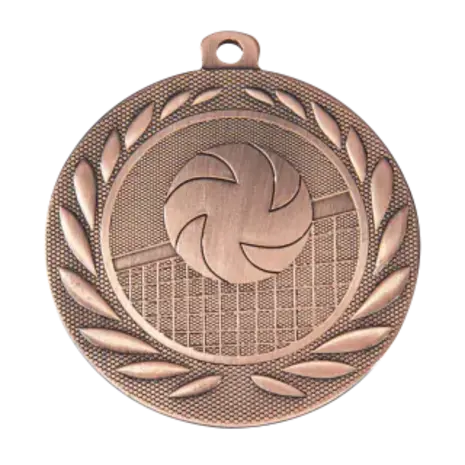 Sportprijzen Leiden Medaille Volleybal