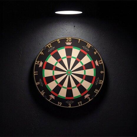 Bulls Bulls Advantage 8 Professional Dartboard