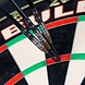 Bulls Bull's Max Hopp CP 95% Bulls Bull's Max Hopp CP 95%