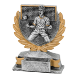 Sportprijzen Leiden Sport Trofee - Voetbal Doelpunt