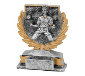 Sportprijzen Leiden Sport Trofee - Voetbal Doelpunt Sportprijzen Leiden Sport Trofee - Voetbal Doelpunt