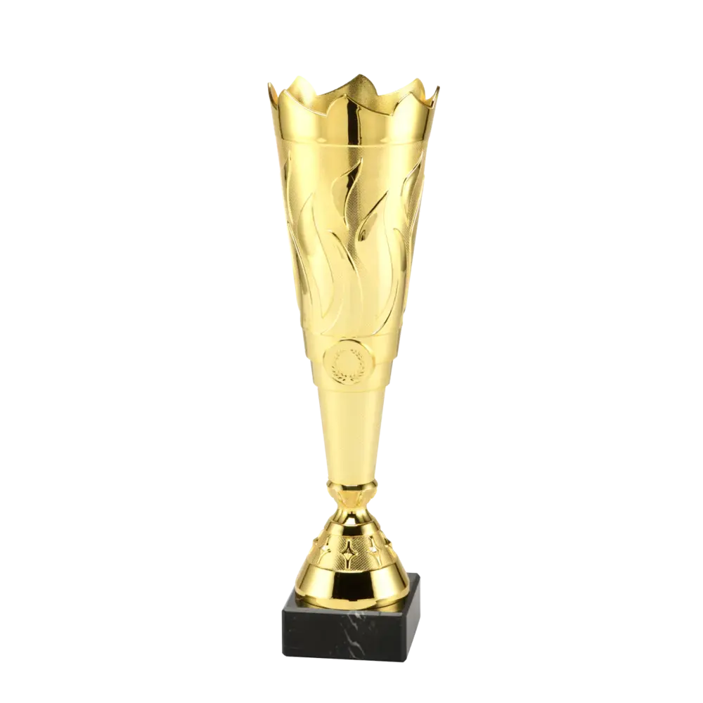 Sportprijzen Leiden Trofee ET.429 Sportprijzen Leiden Trofee ET.429