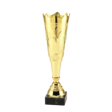 Sportprijzen Leiden Trofee ET.429