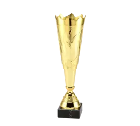 Sportprijzen Leiden Trofee ET.429 Sportprijzen Leiden Trofee ET.429