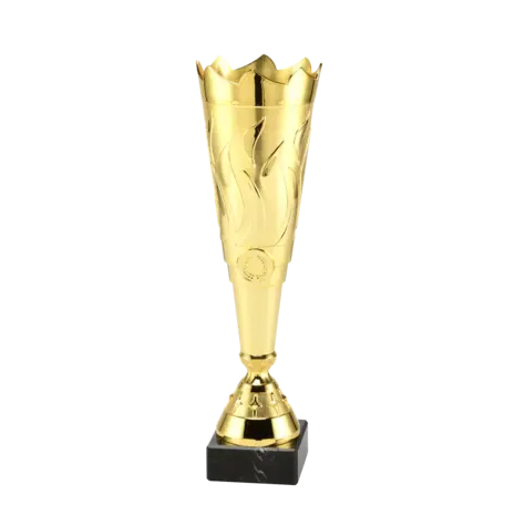 Sportprijzen Leiden Trofee ET.429 Sportprijzen Leiden Trofee ET.429
