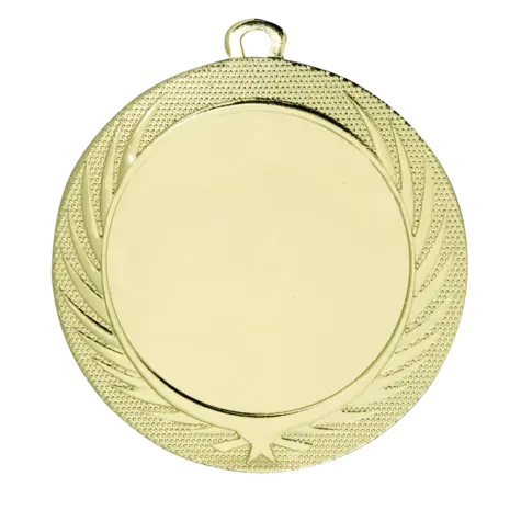 Sportprijzen Leiden Medaille BS.ME76 Sportprijzen Leiden Medaille BS.ME76