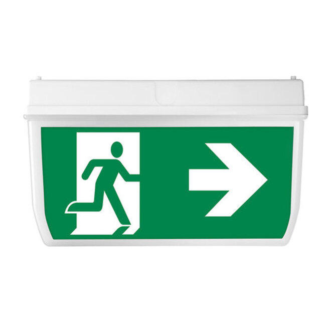 Normlights Universele kap multifunctioneel inzetbaar