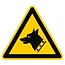 Waakhond