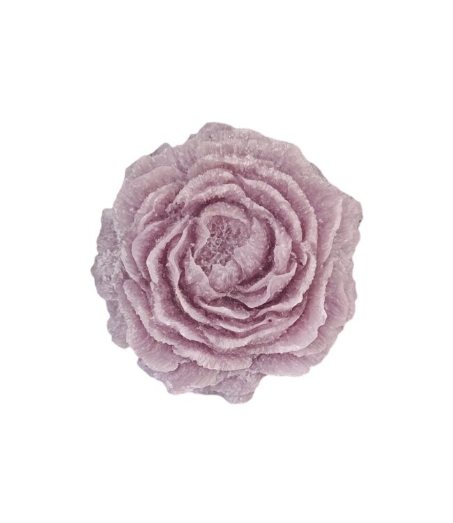 Geurblokje bloem - Lavendel