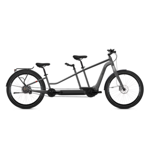 Flyer e-bike Tandem