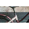 Winora Winora iRide Pure 5Rf