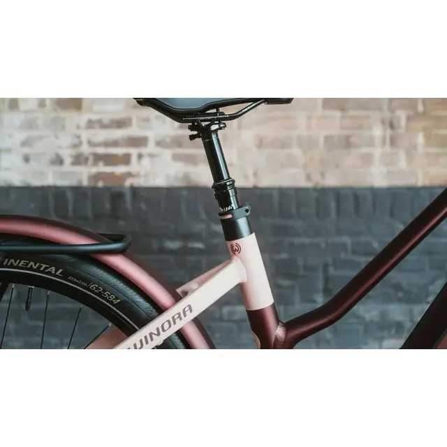 Winora iRide Pure 5Rf
