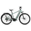 FLYER Flyer Gotour 5.10 - 800 Wh