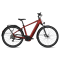 FLYER Flyer Gotour 5.10 - 800 Wh