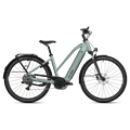 FLYER Flyer Gotour 5.10 - 800 Wh