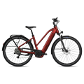 FLYER Flyer Gotour 5.10 - 800 Wh