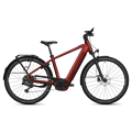 FLYER Flyer Gotour 7.10 - 800 Wh