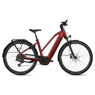 Flyer Gotour 7.10 - 800 Wh