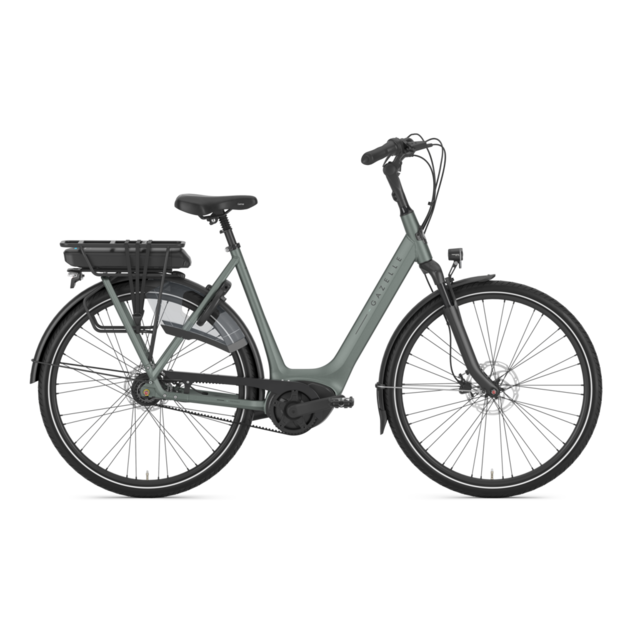 Gazelle Orange C8+ Low-Step