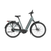 Gazelle Grenoble C310 Low-Step