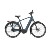 Gazelle Grenoble C310 High-Step