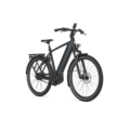 Gazelle Ultimate C380 High-Step