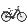 Gazelle Ultimate C380 High-Step