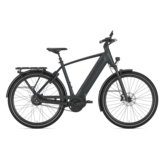 Gazelle Ultimate C380 High-Step