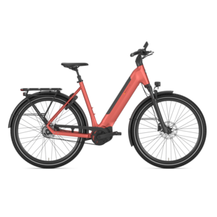 Gazelle Ultimate C5+ Low-Step