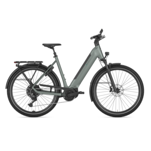 Gazelle Ultimate T11 Low-Step