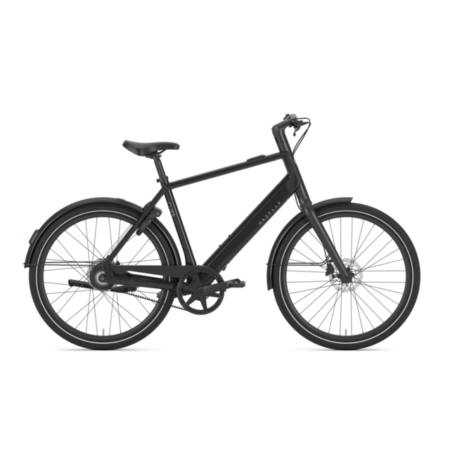 Gazelle Carb C1 High-Step