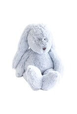 Dimpel FLOR 18 blauw