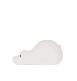 Flow - projector Björn