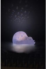 Flow - projector Björn